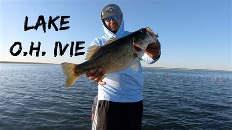 Went out to Lake <b>Ivie</b> and had a blast. . Oh ivie fishing report